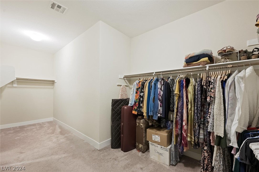 8435 Skye Walk Court