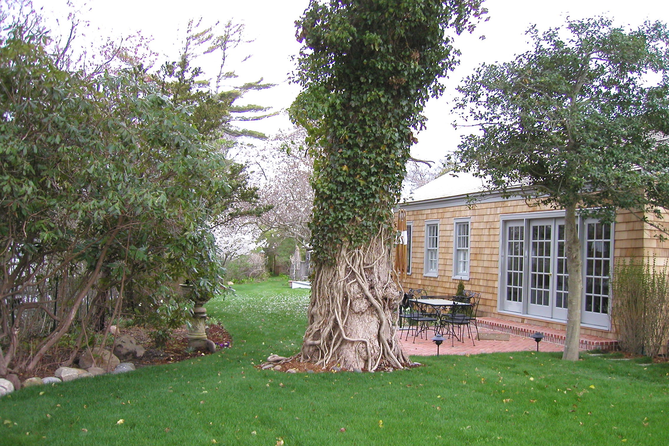 99 Egypt Lane 