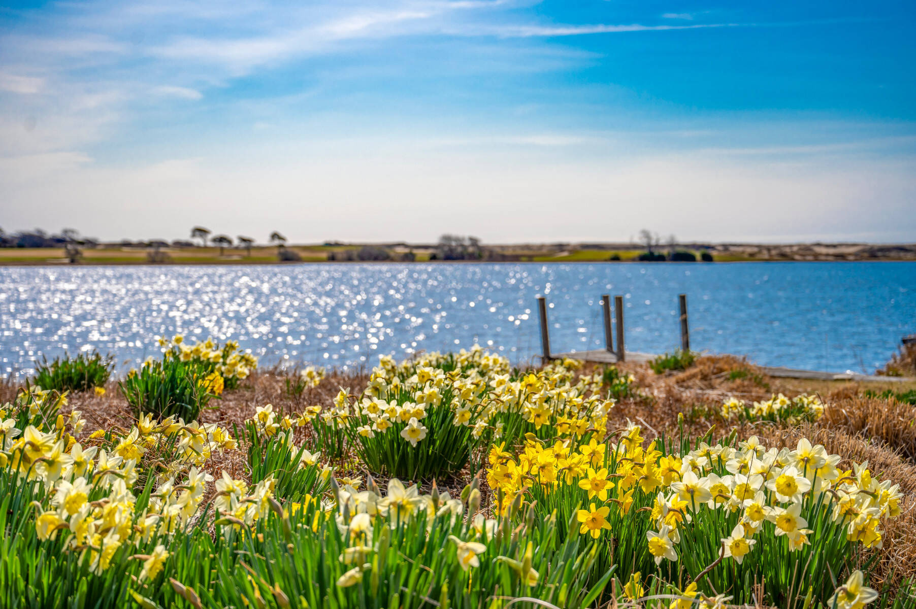 East Hampton