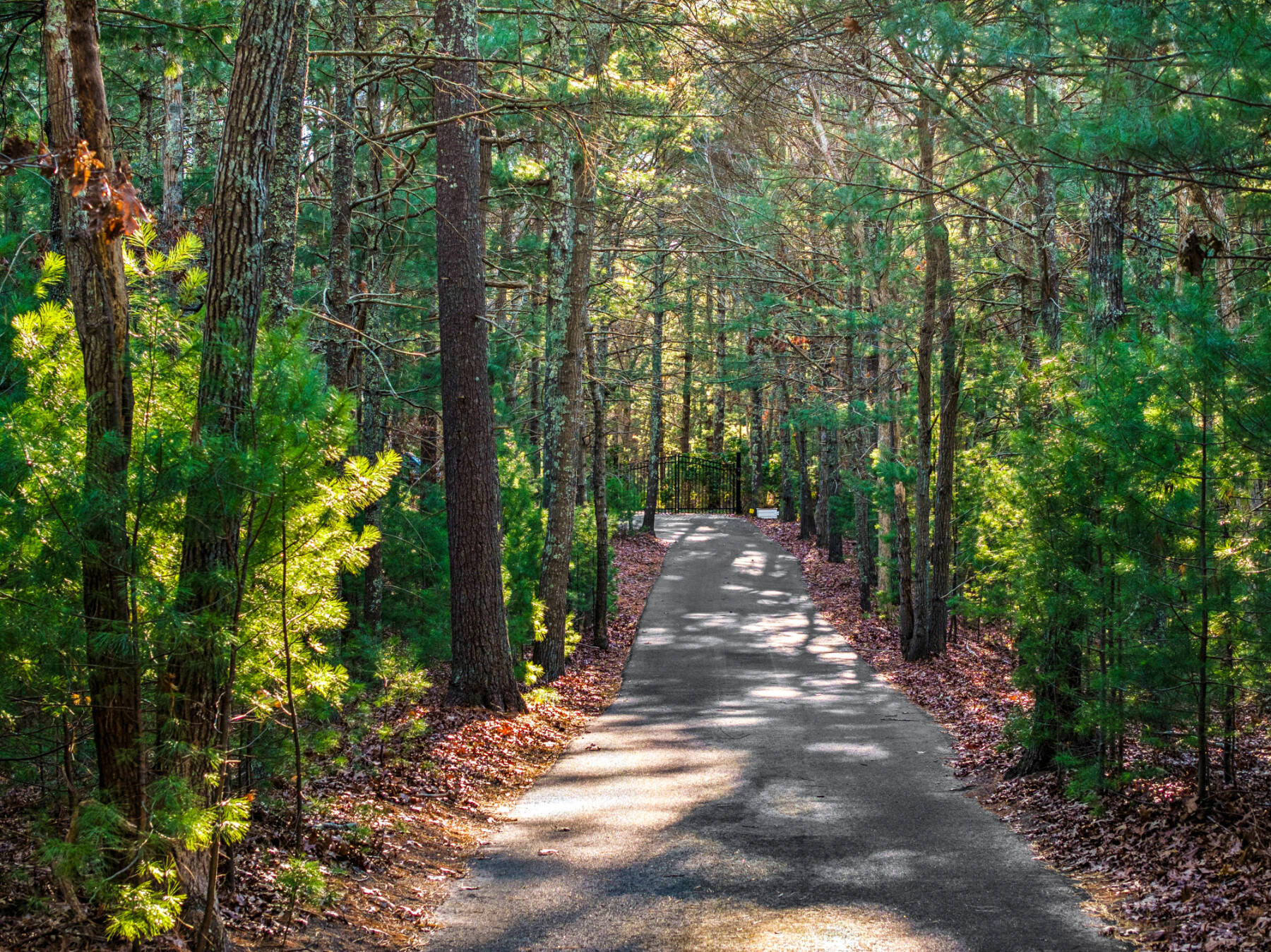 34 BULL PATH 