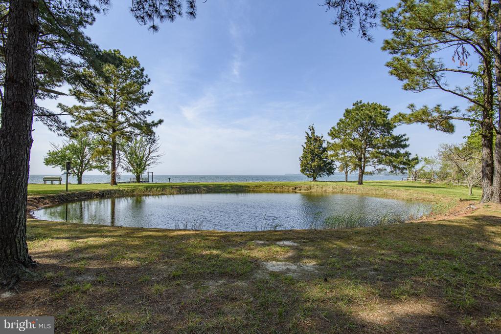 784 Hills Point Rd