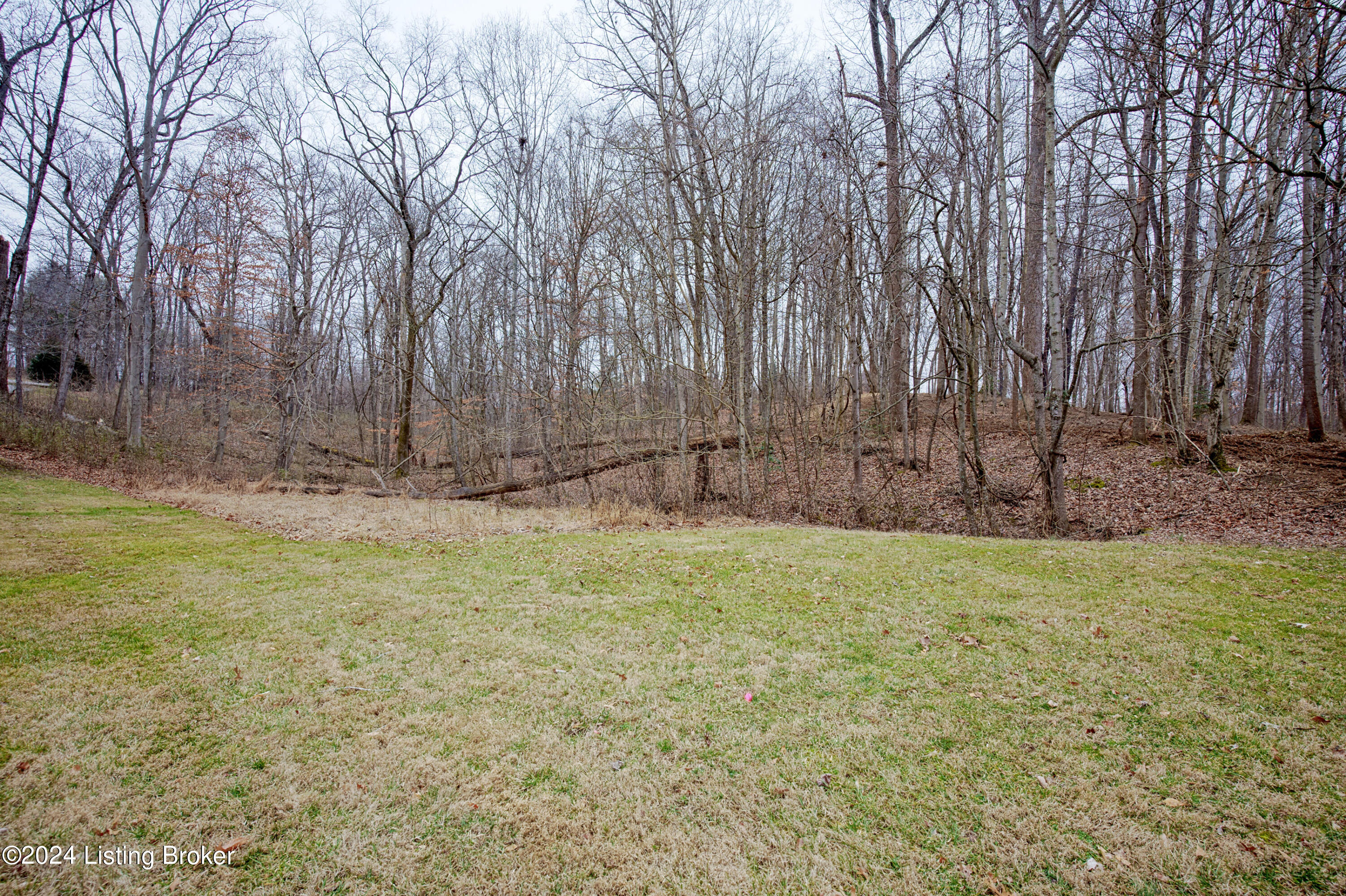 7100 Covered Cove Way
