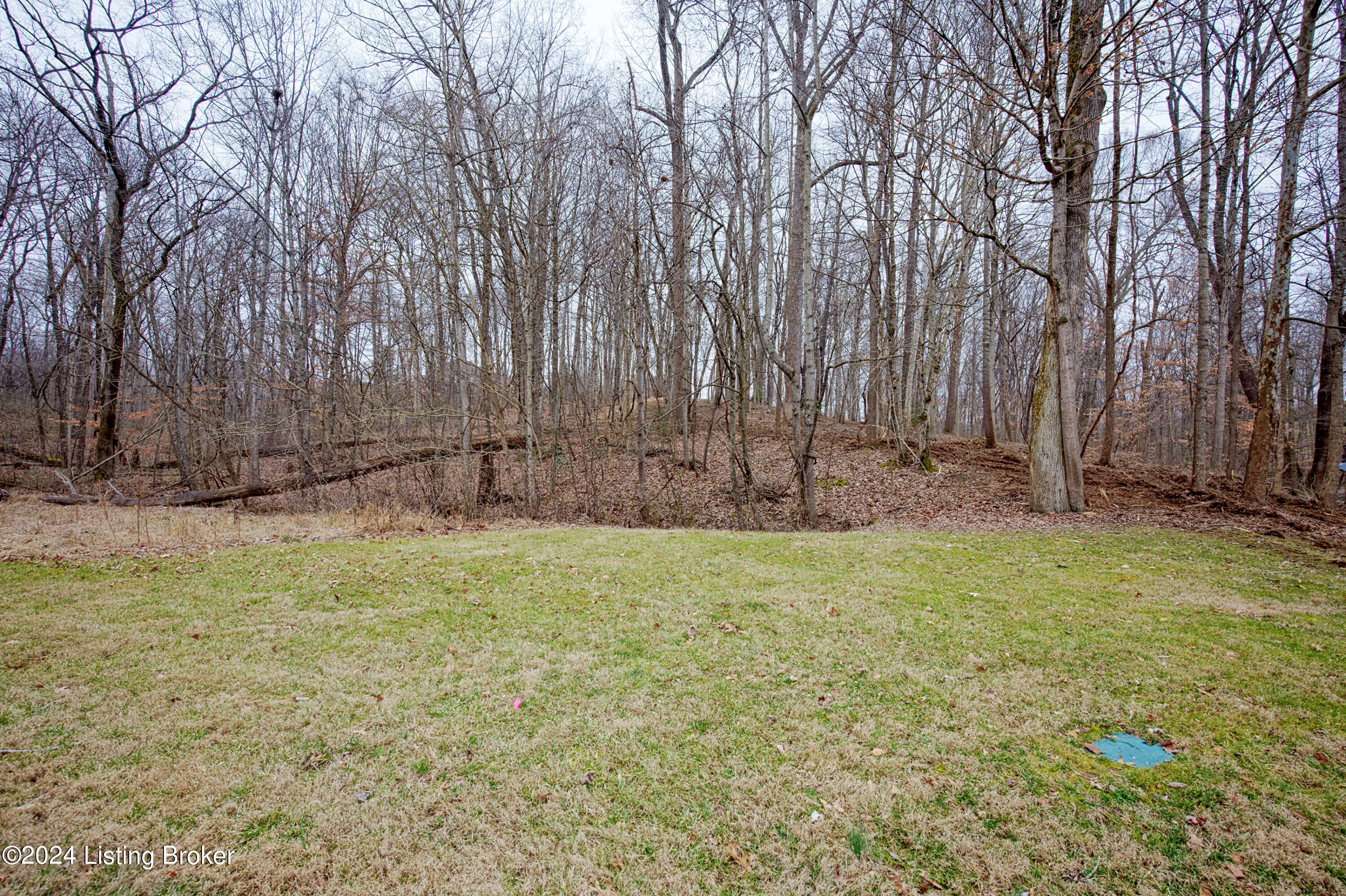 7100 Covered Cove Way