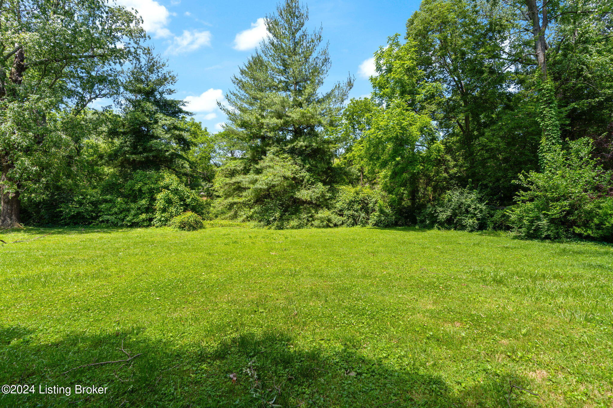 3210 Maple Rd