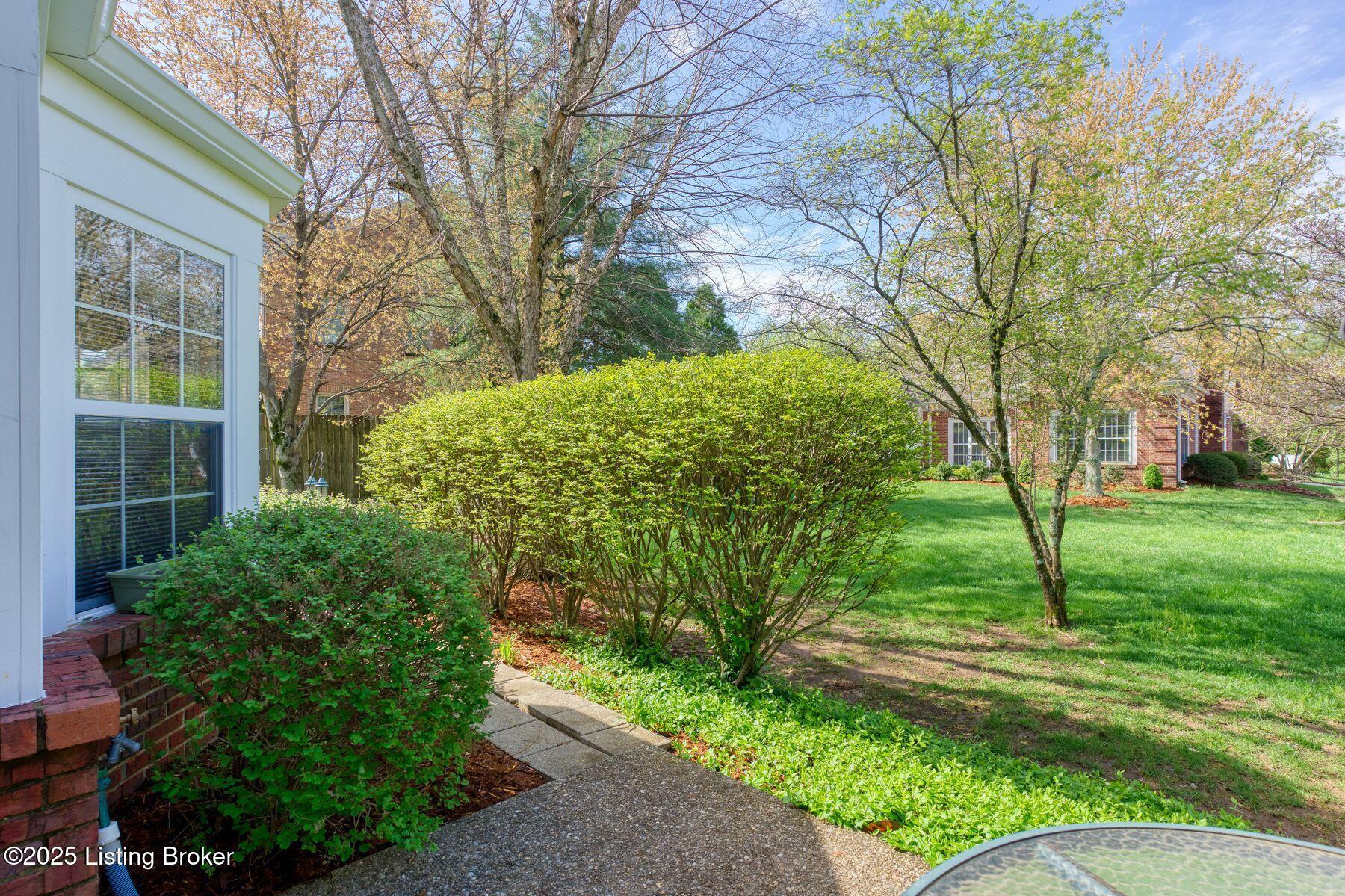2001 Ashwood Bluff Ct