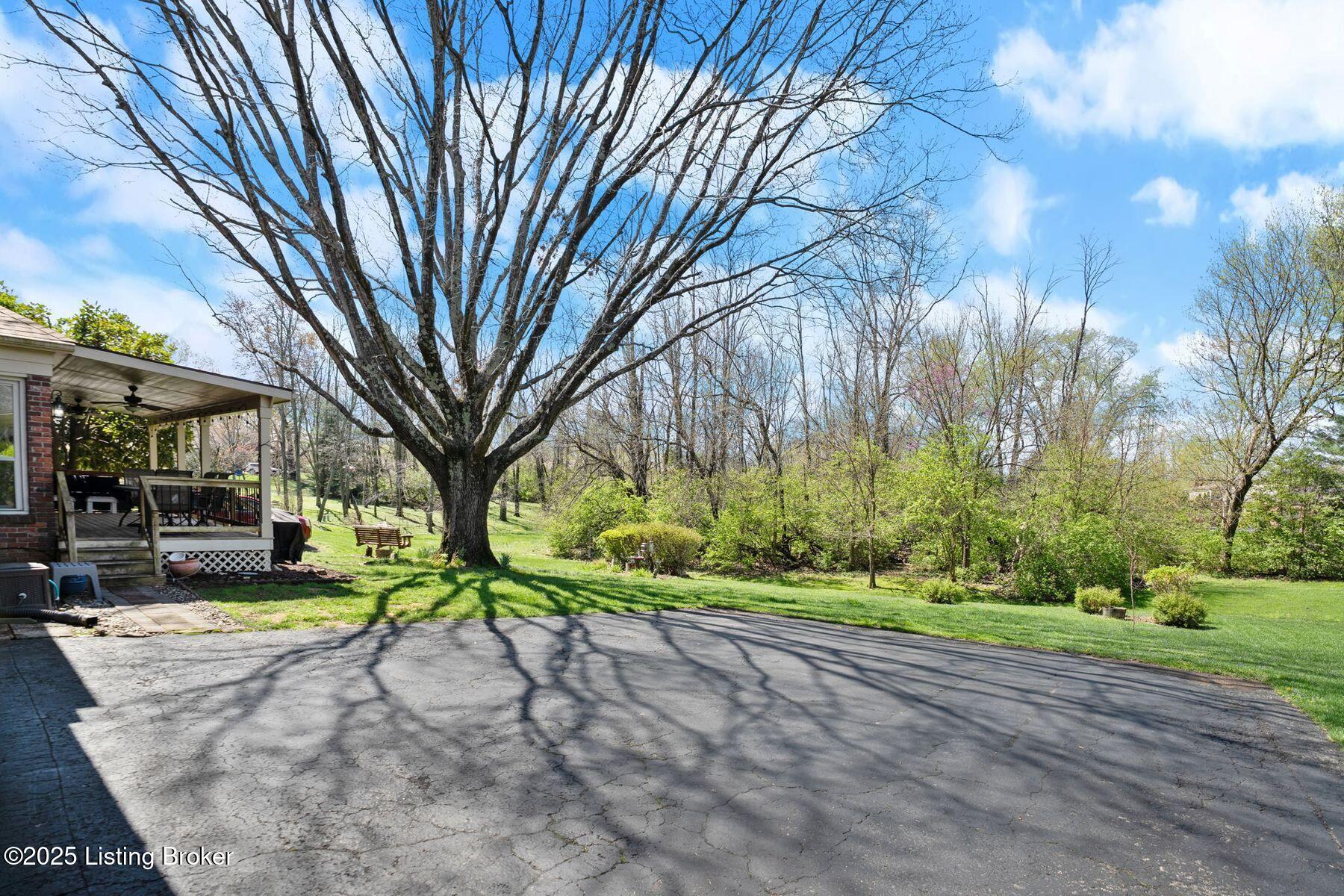 318 Willow Stone Way