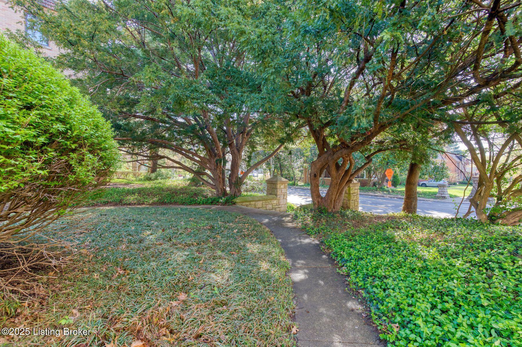 3015 Brownsboro Rd #3