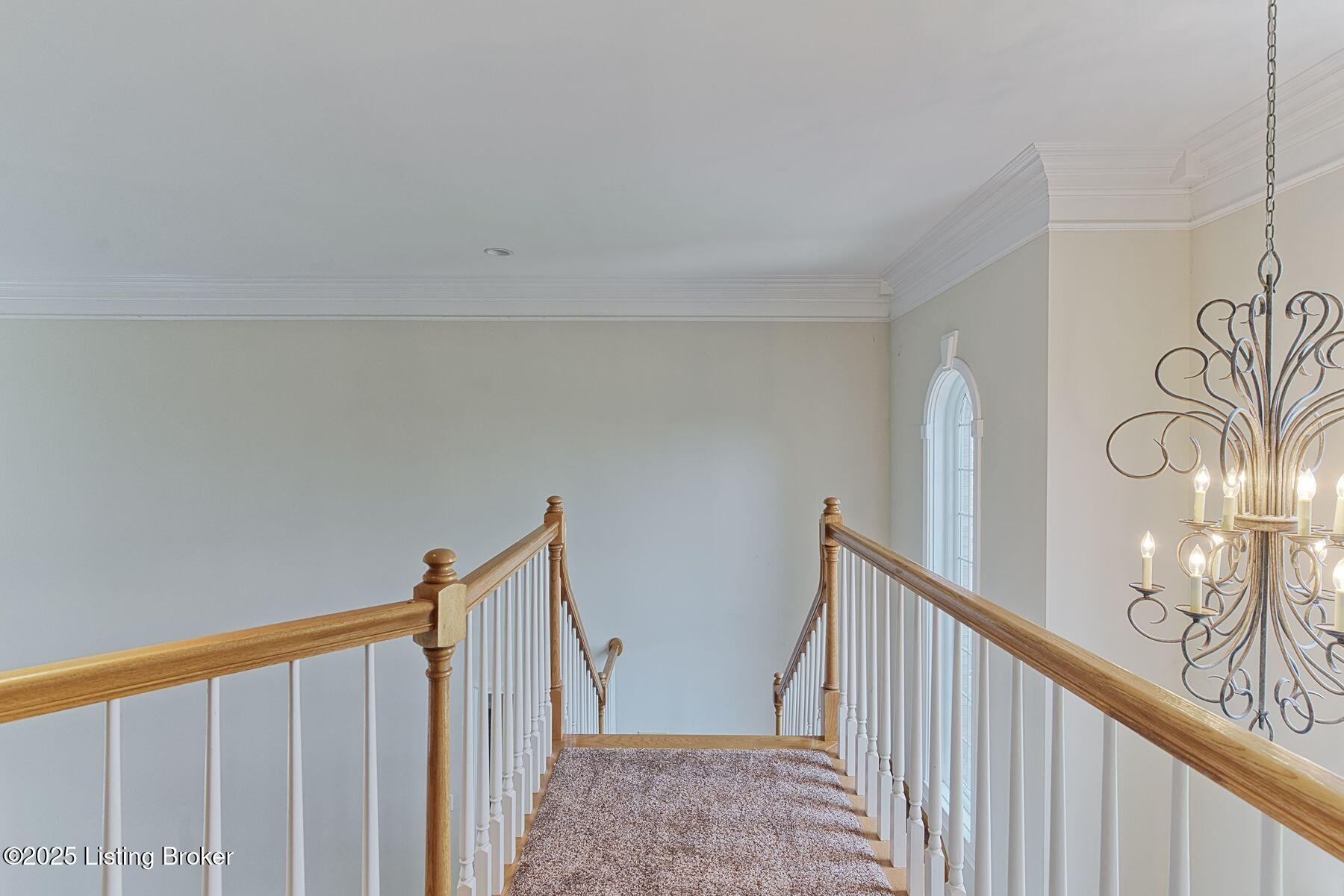 12521 Ridgemoor Dr