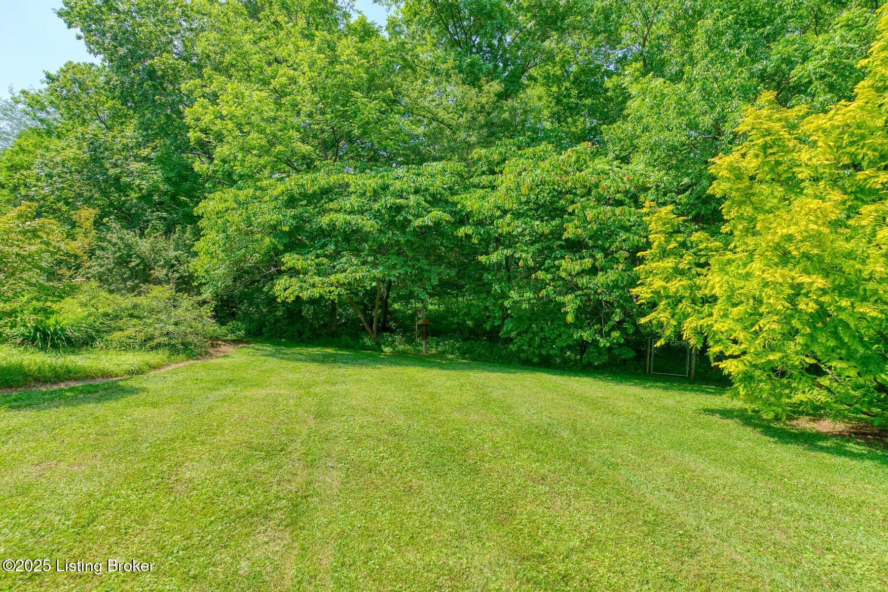 6311 Fible Ln