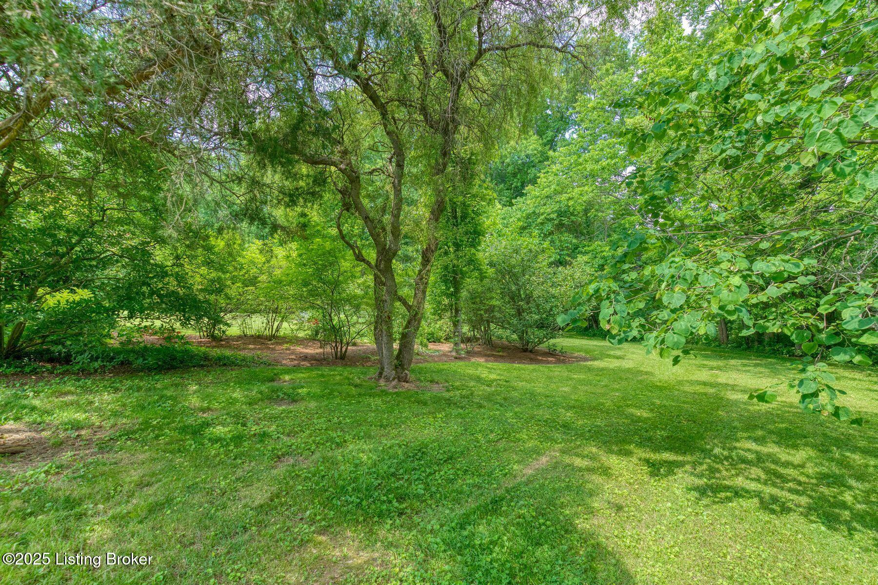 6311 Fible Ln
