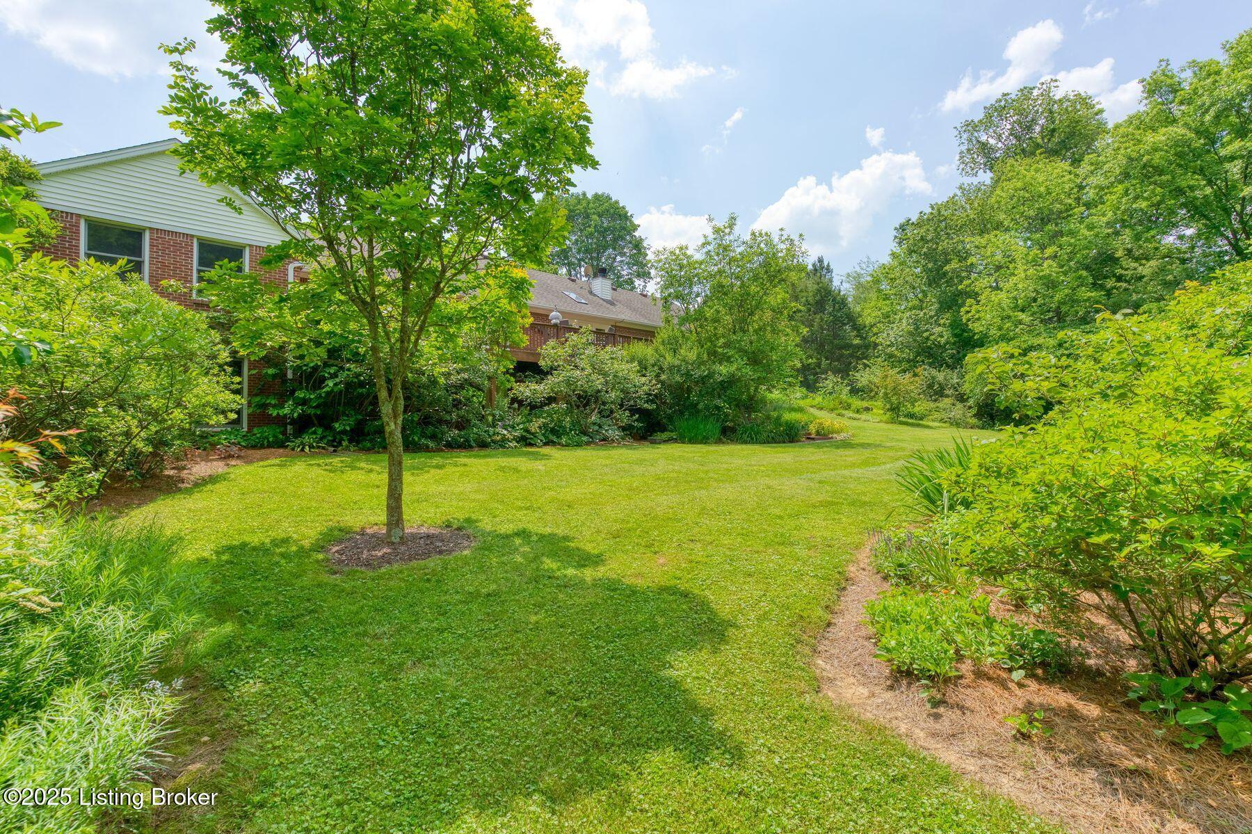 6311 Fible Ln