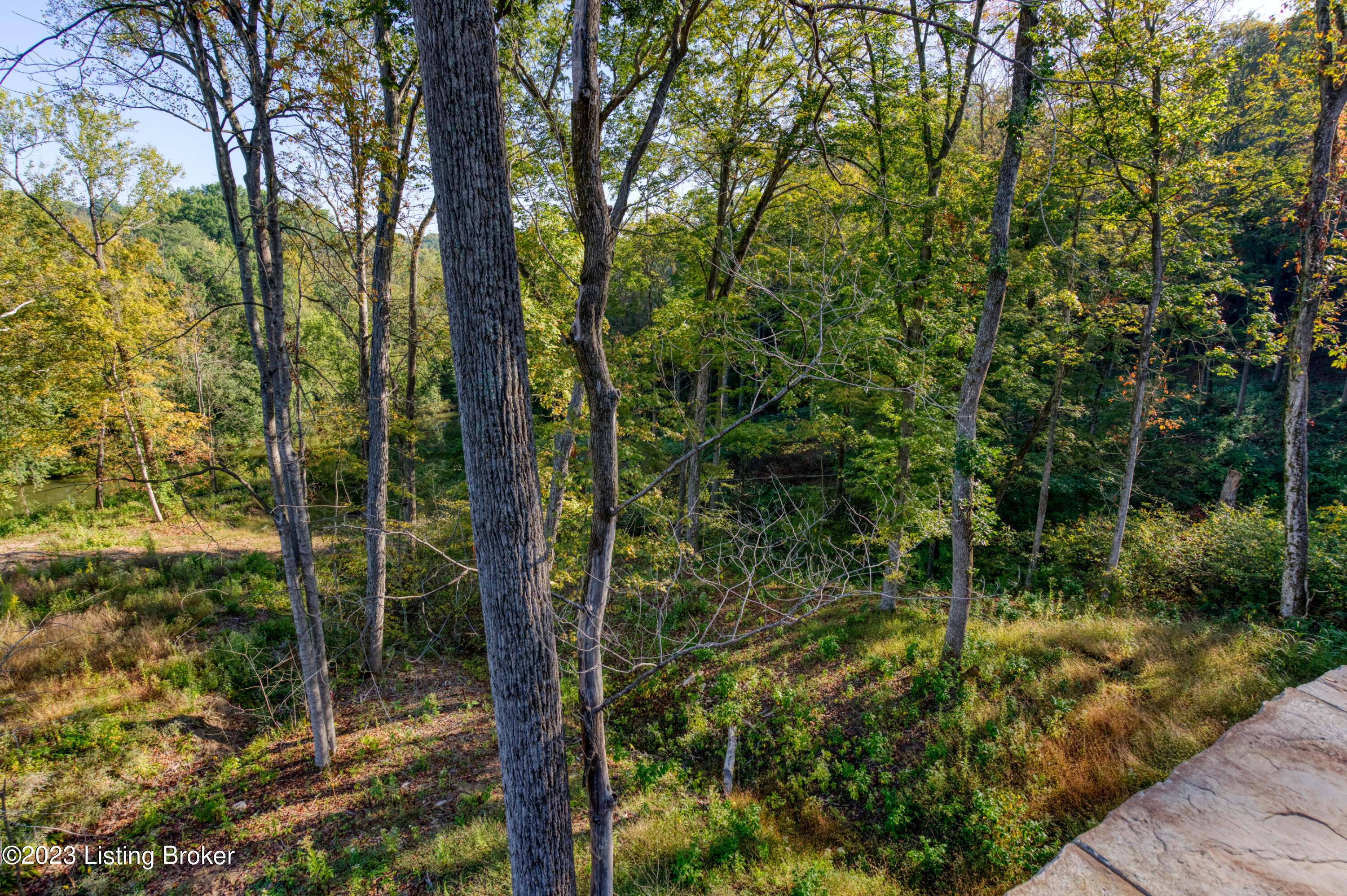 5703 Fincastle Farm Trace