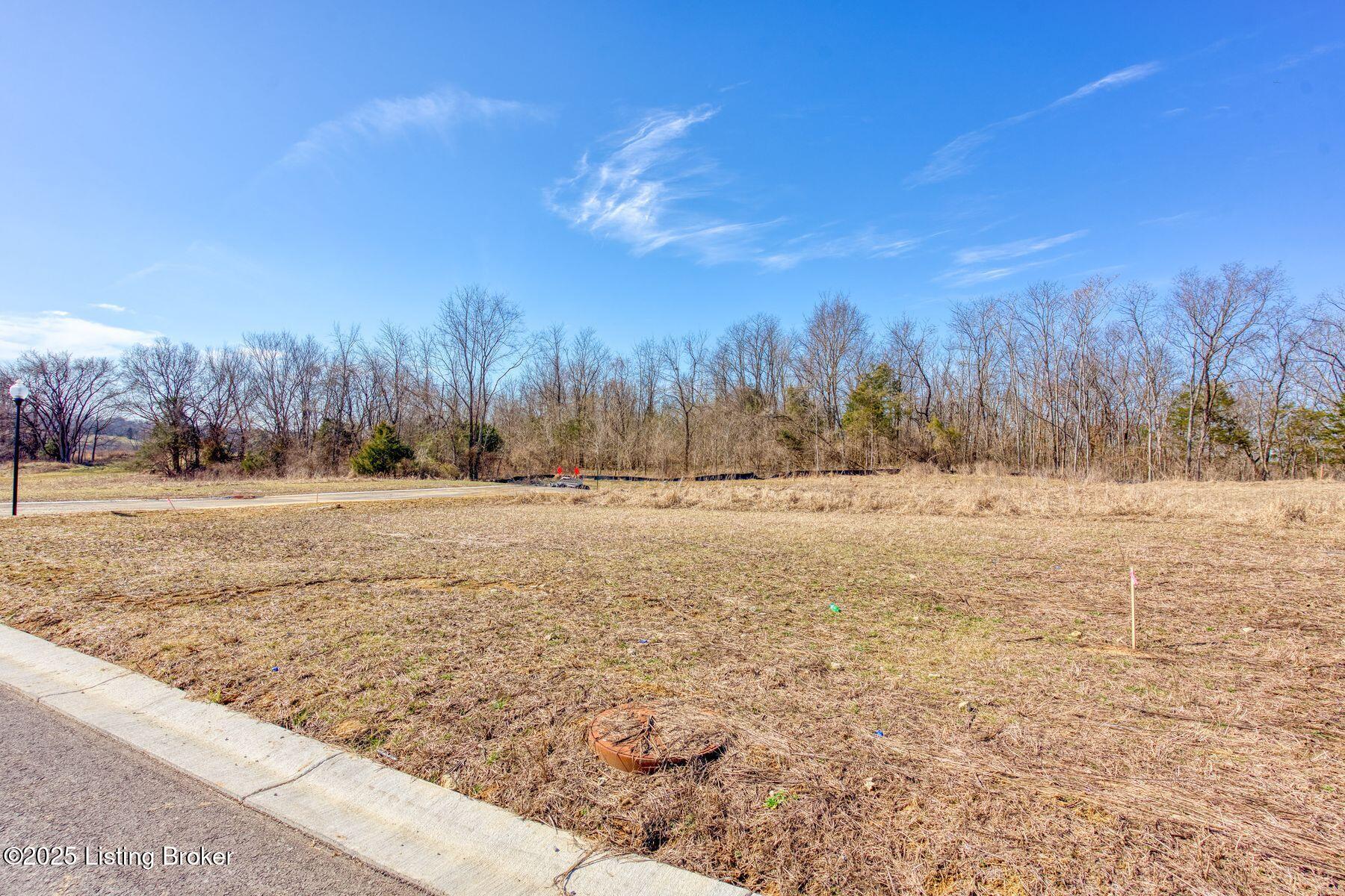 238 Shakes Creek Dr