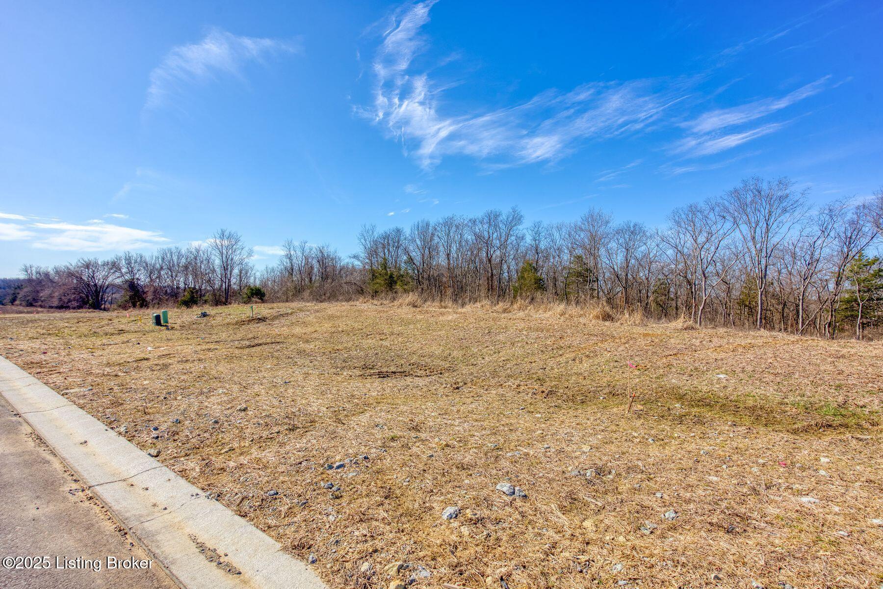 240 Shakes Creek Dr