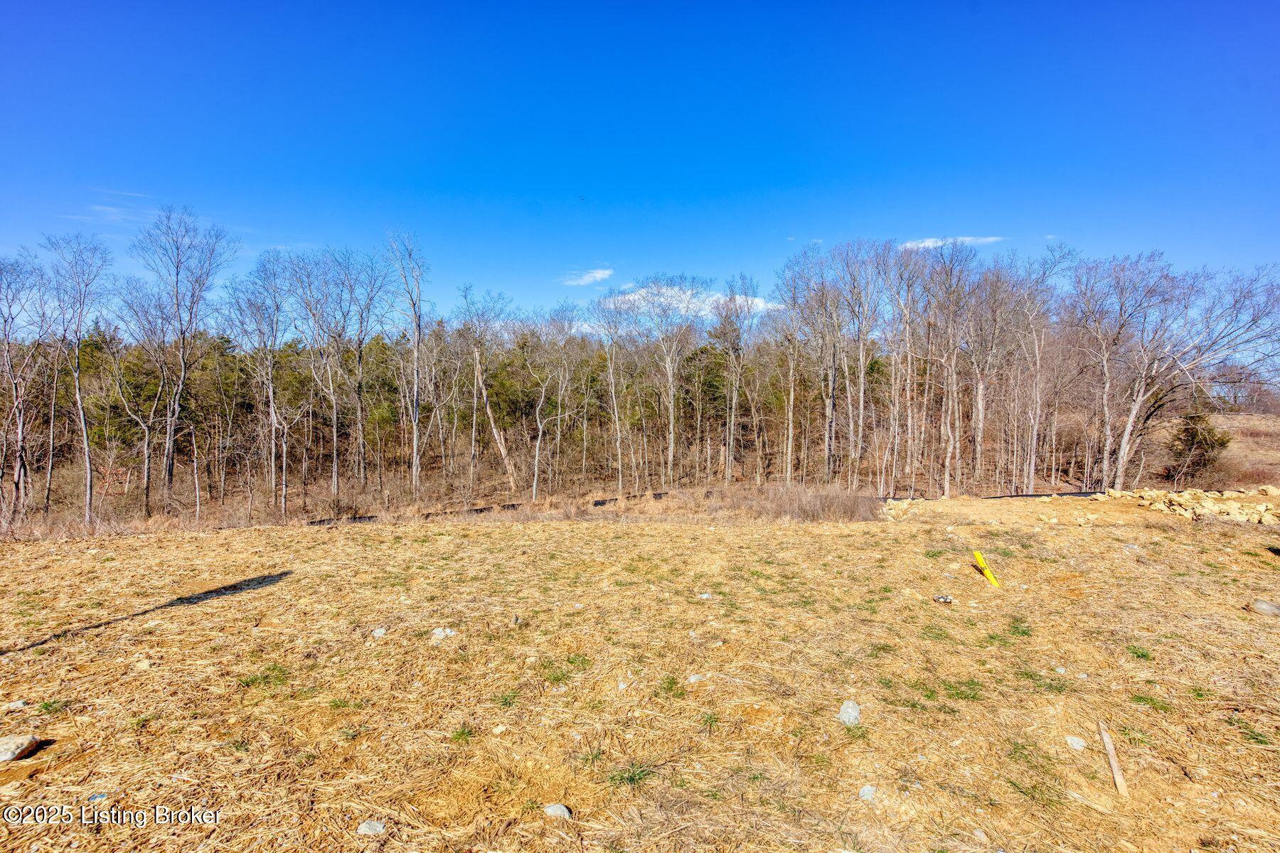 247 Shakes Creek Dr