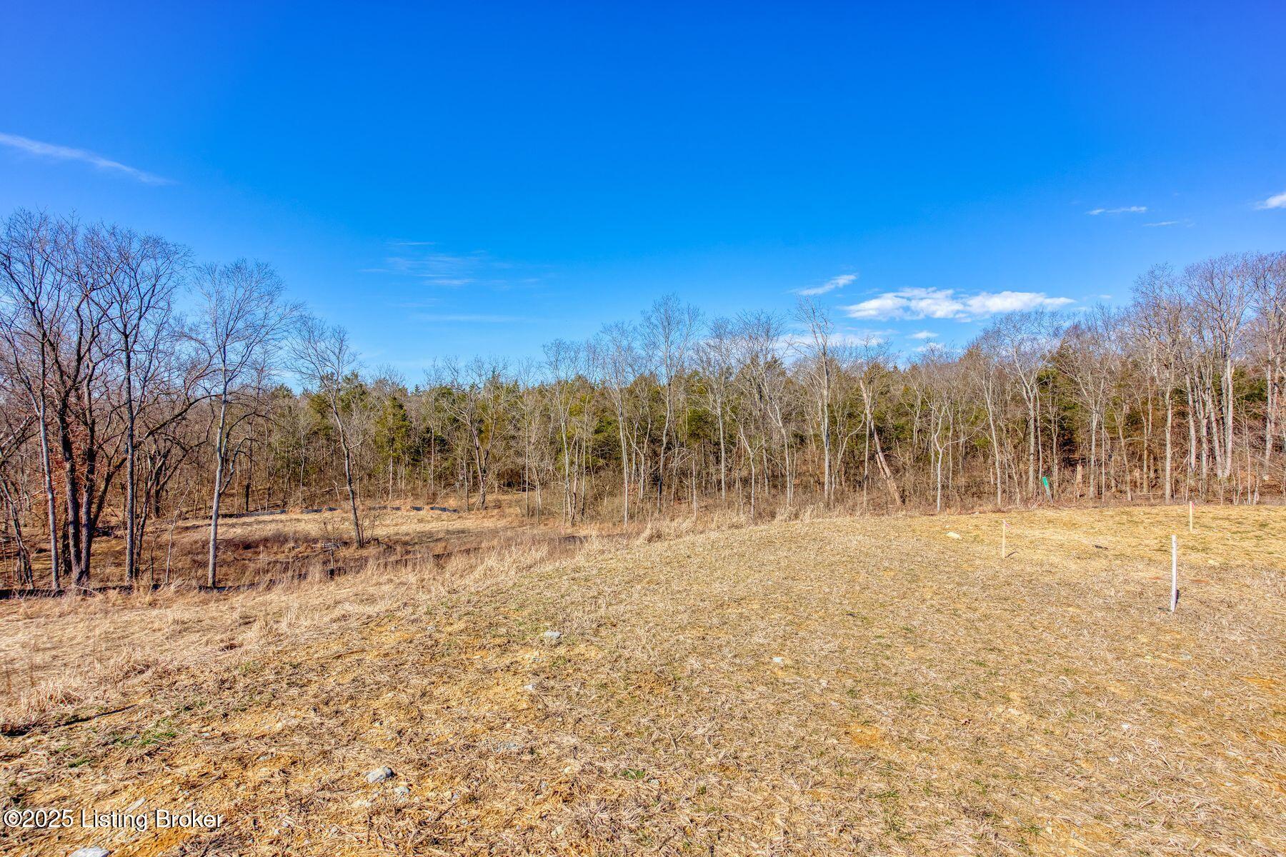 244 Catalpa Leaf Way