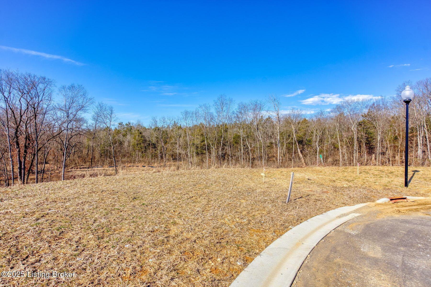 244 Catalpa Leaf Way