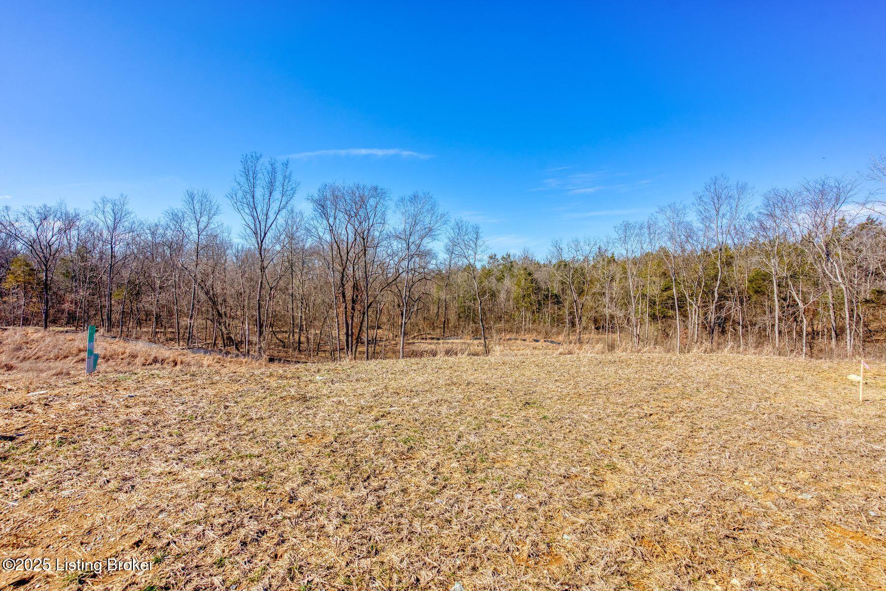 244 Catalpa Leaf Way