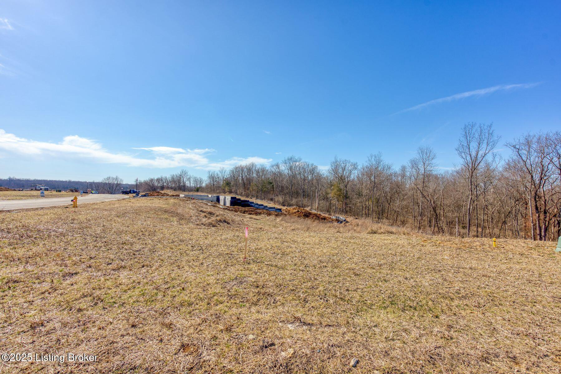 244 Catalpa Leaf Way
