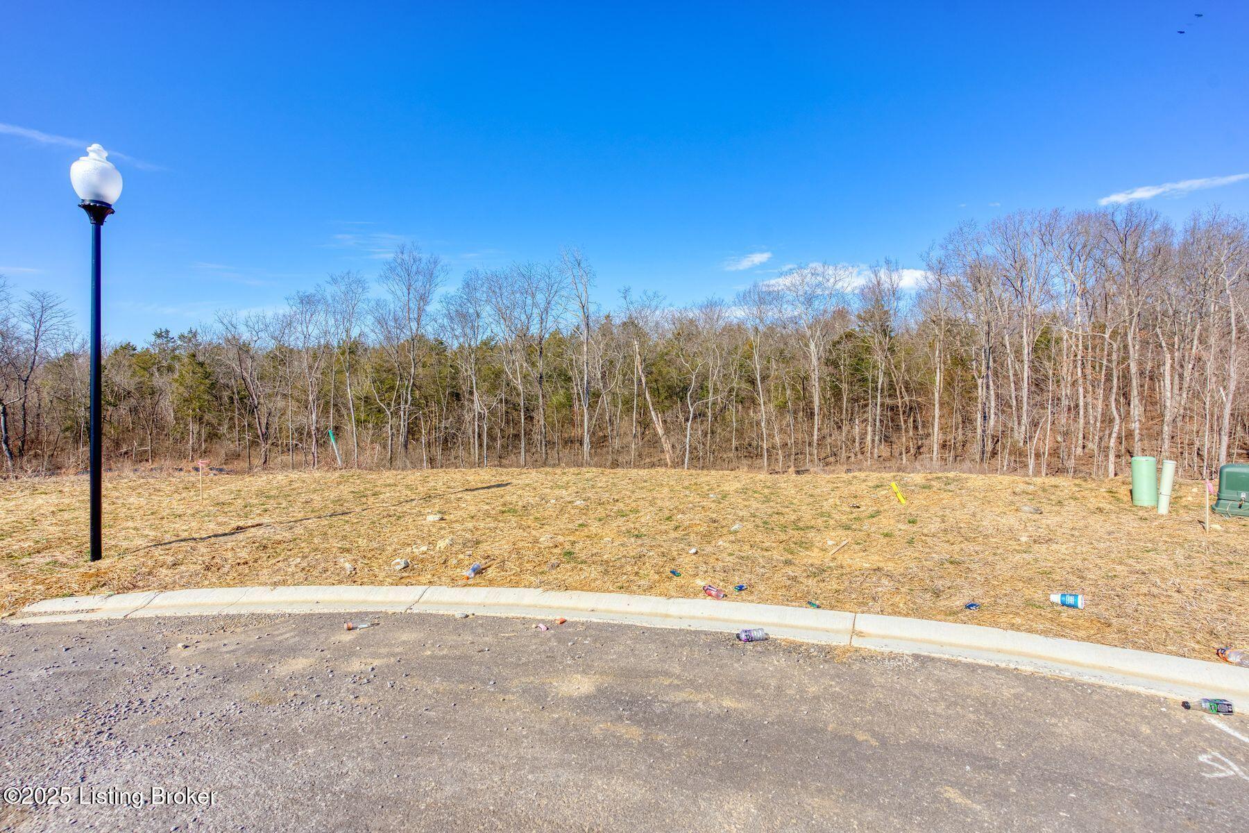 245 Catalpa Leaf Way