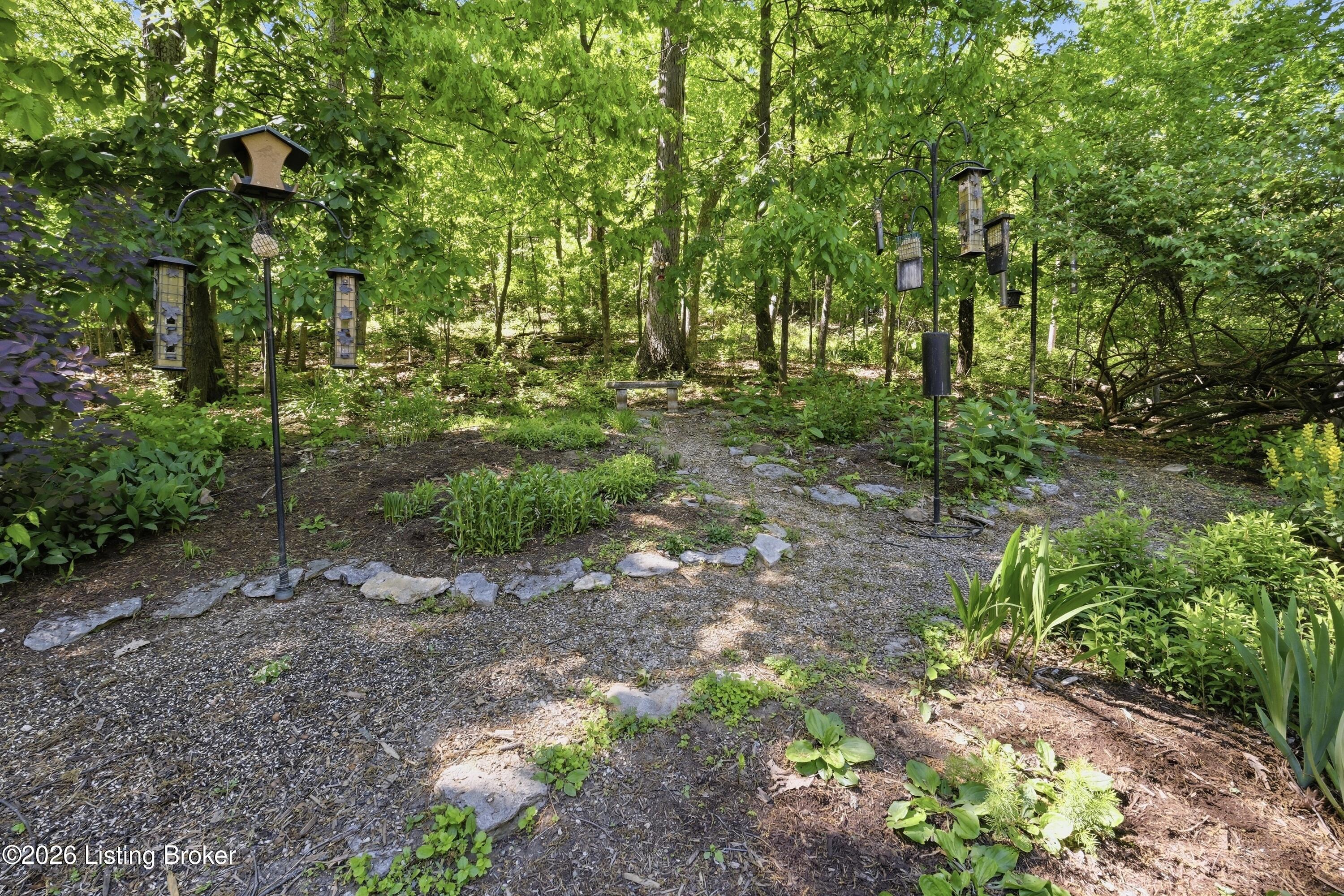 1703 Timber Trace