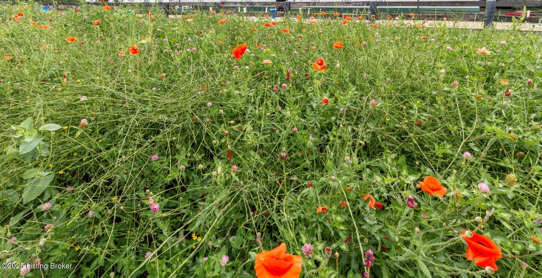 11903 La Grange Rd