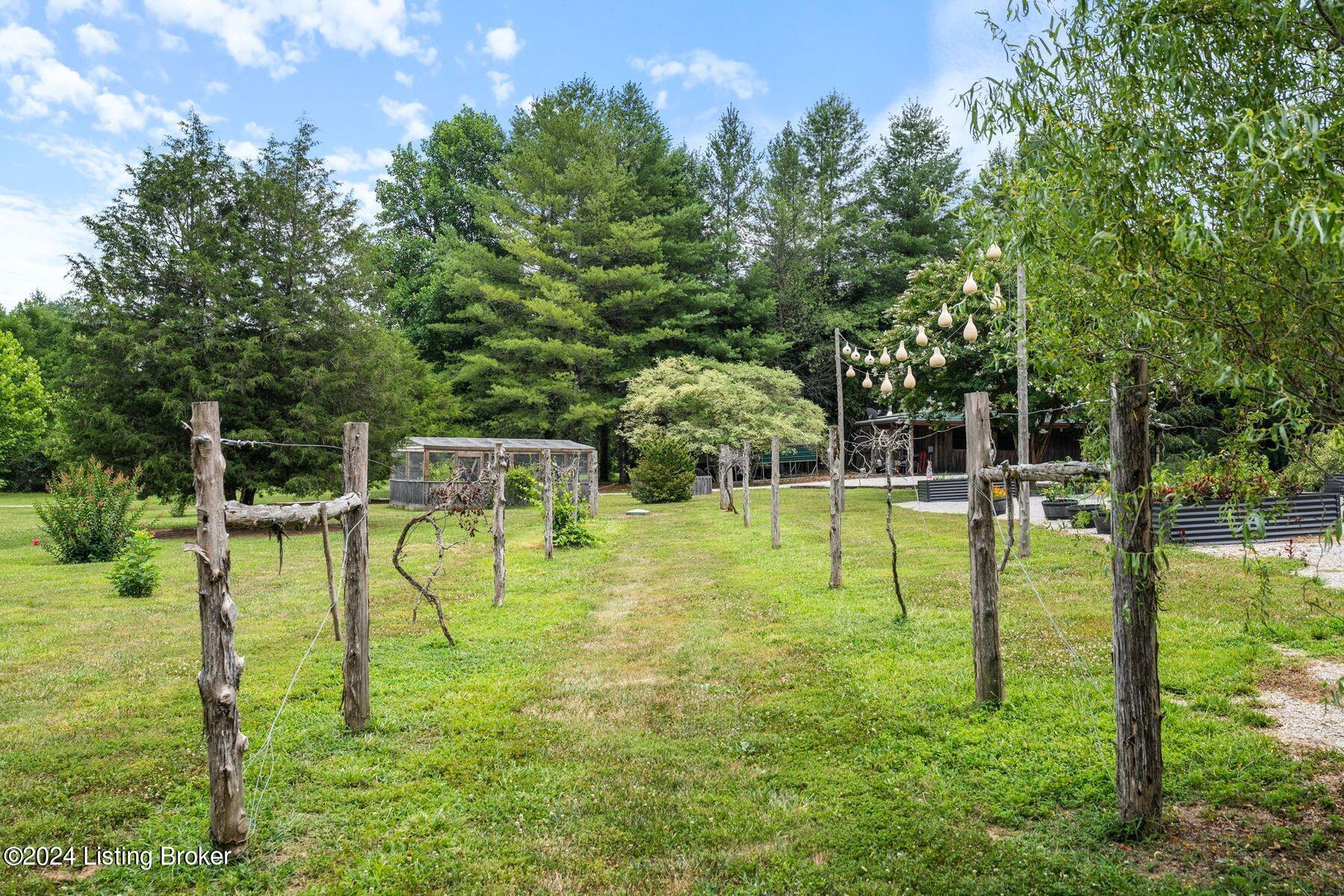 115 Rosalind Way