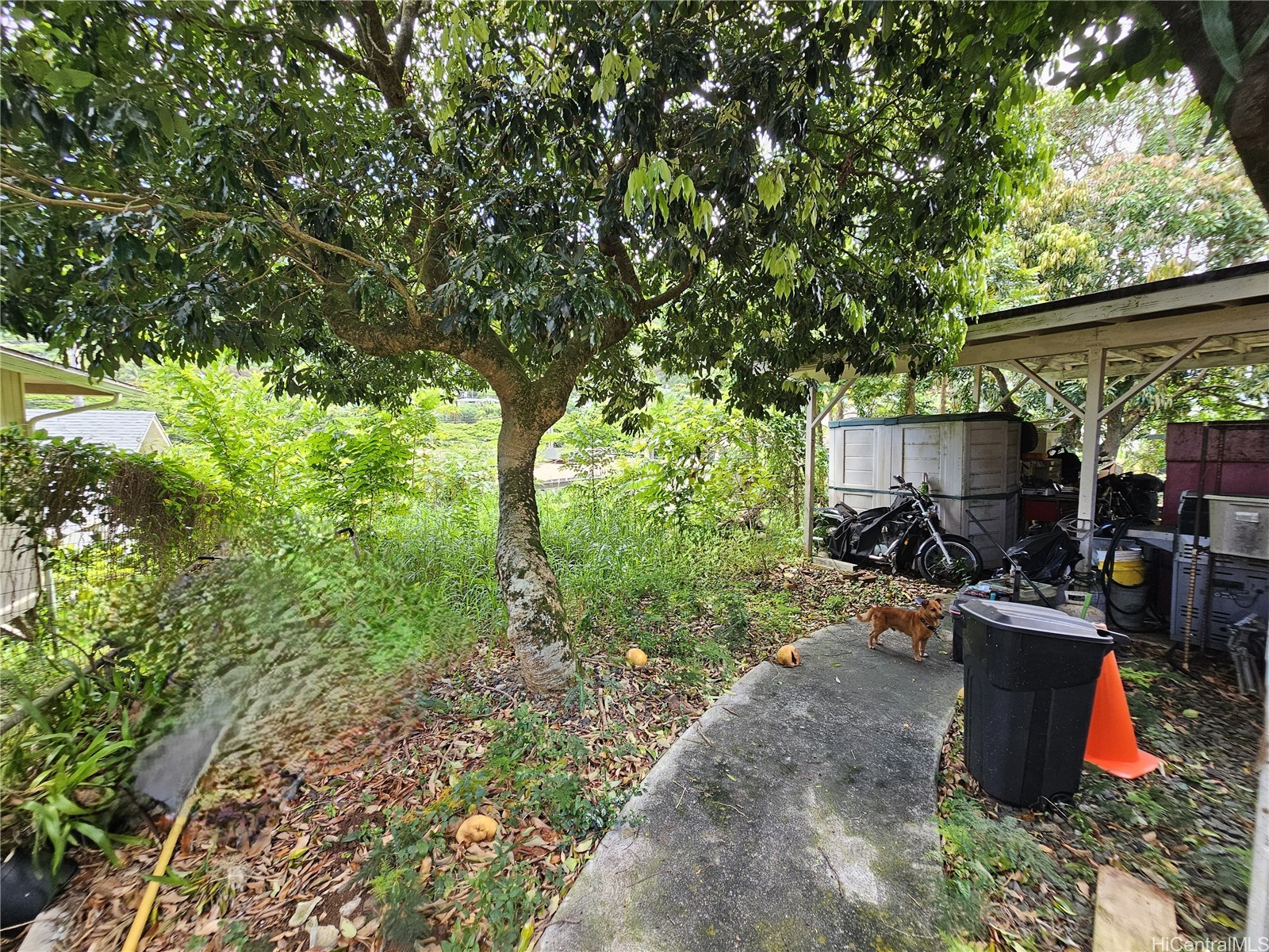 2888 Kalihi Street