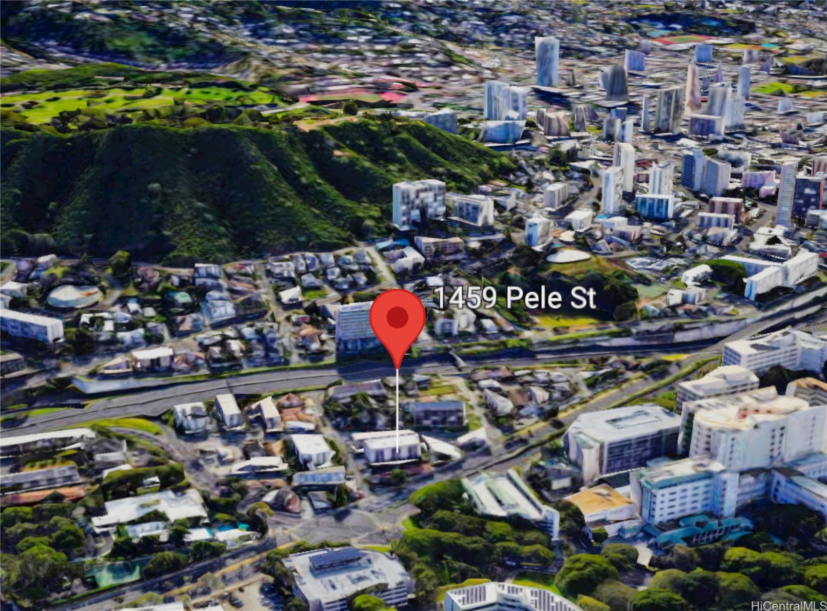 1459 Pele Street 401