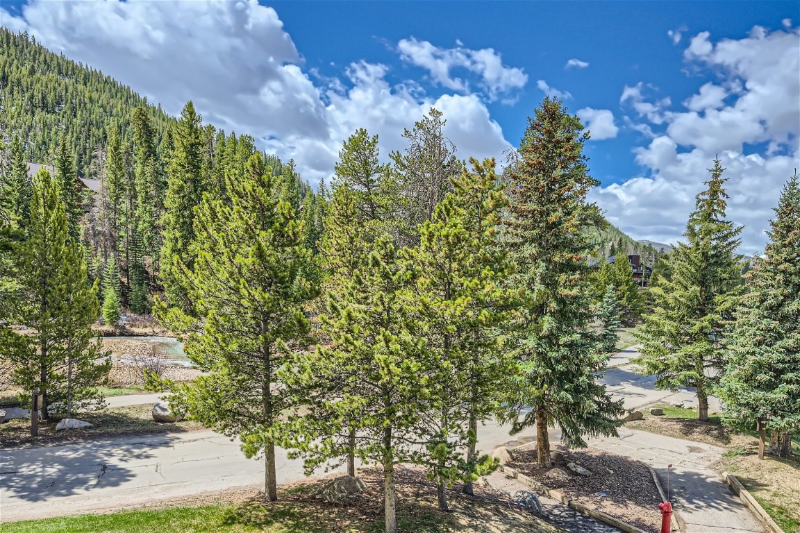 165 Argentine COURT 1405