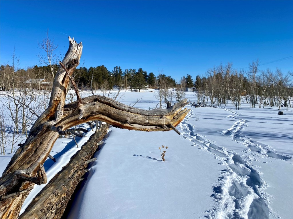 TBD Beaver Creek ROAD