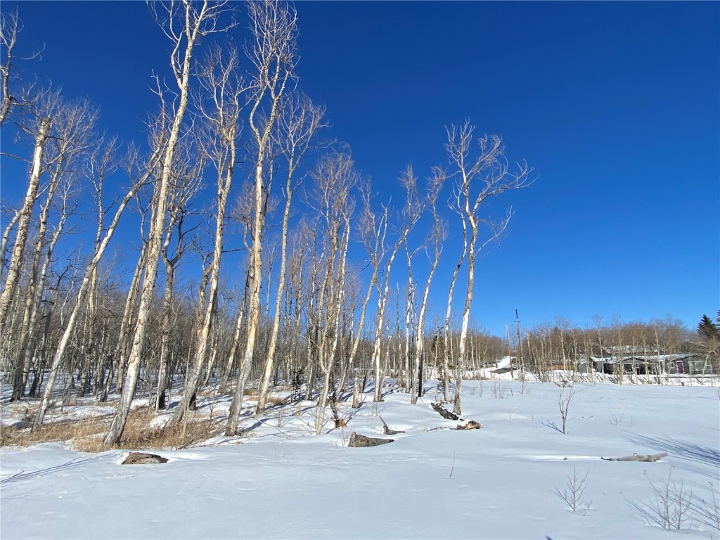 TBD Beaver Creek ROAD