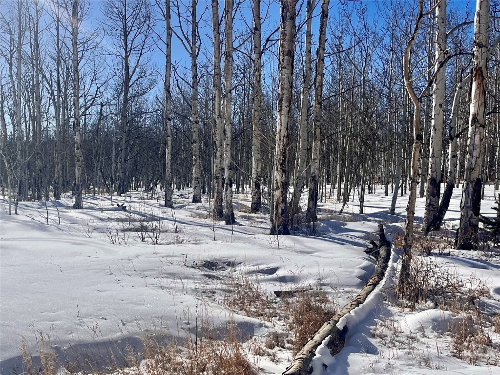 TBD Beaver Creek ROAD