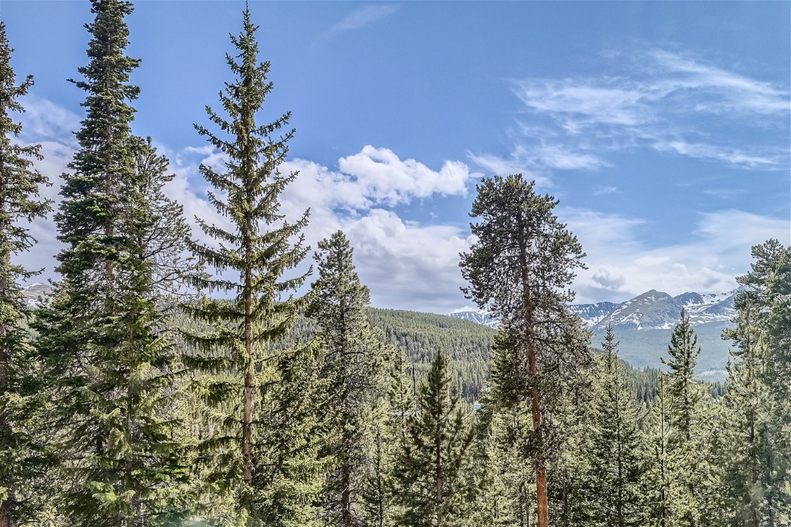 227 S Fuller Placer ROAD 6