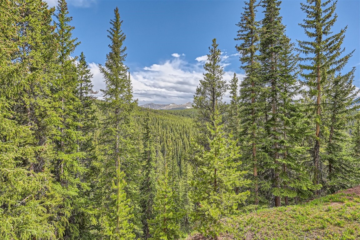 227 S Fuller Placer ROAD 6