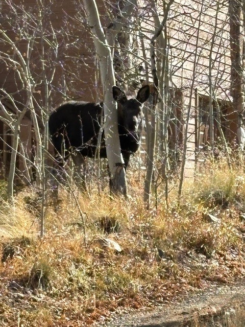 2963 High Creek ROAD