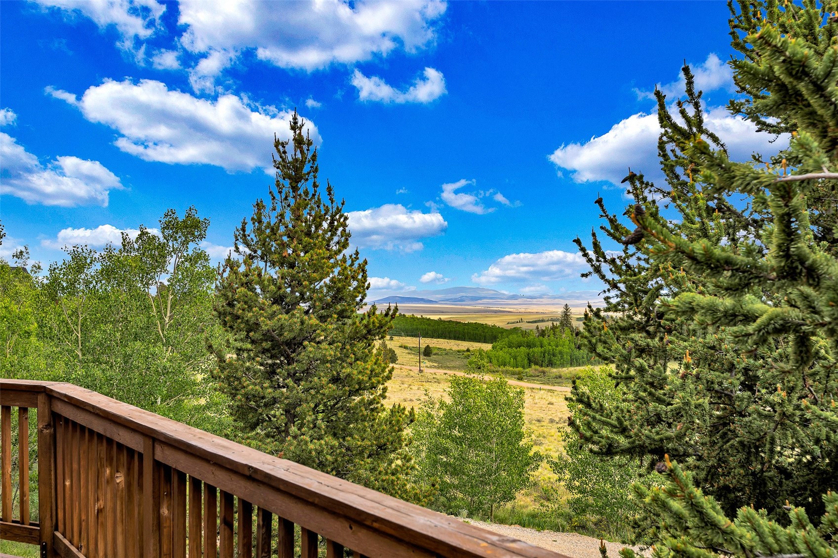 1424 Bluestem WAY