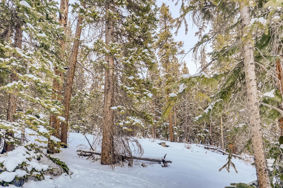 197 Goldenview DRIVE