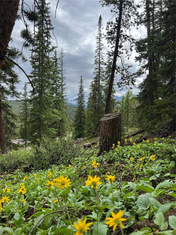 197 Goldenview DRIVE