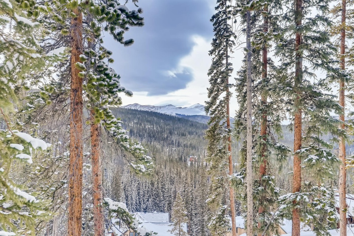 197 Goldenview DRIVE