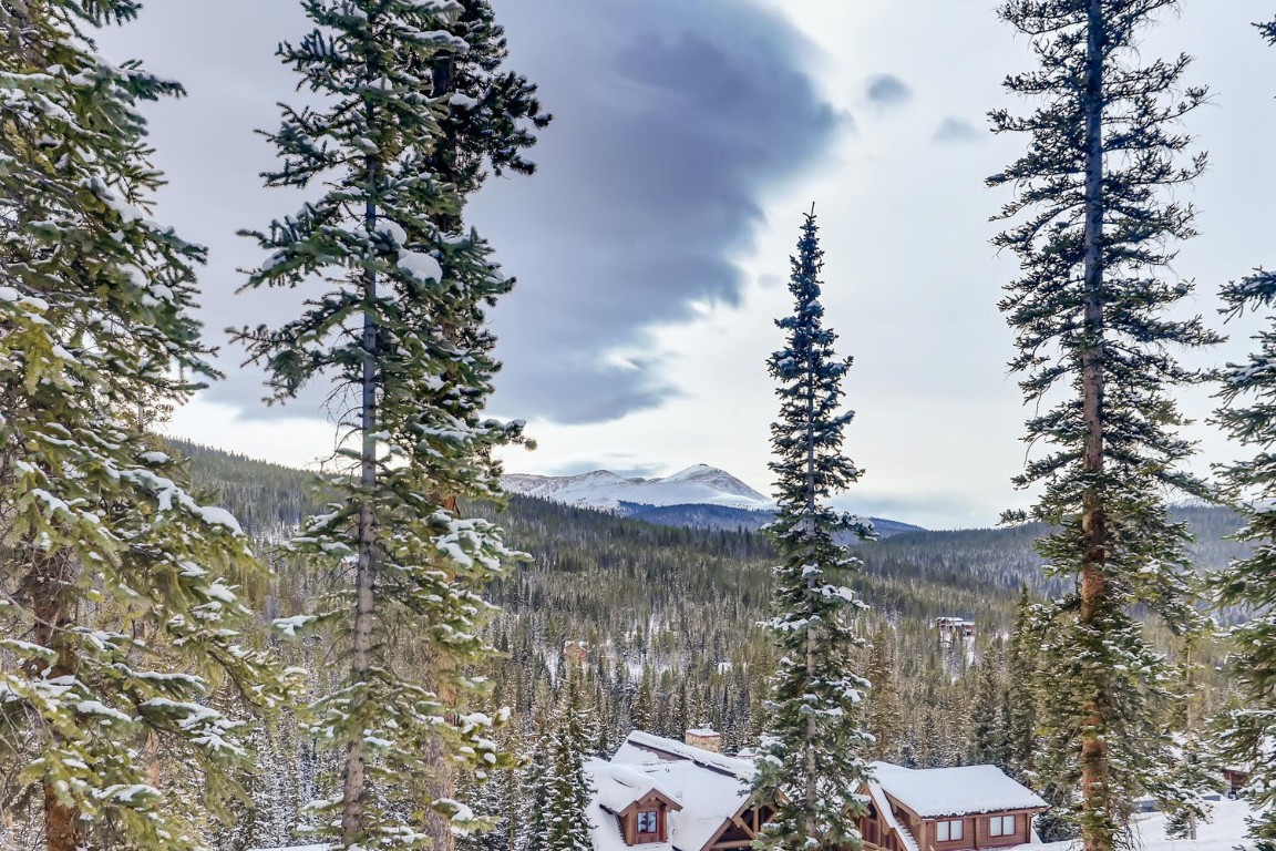 197 Goldenview DRIVE