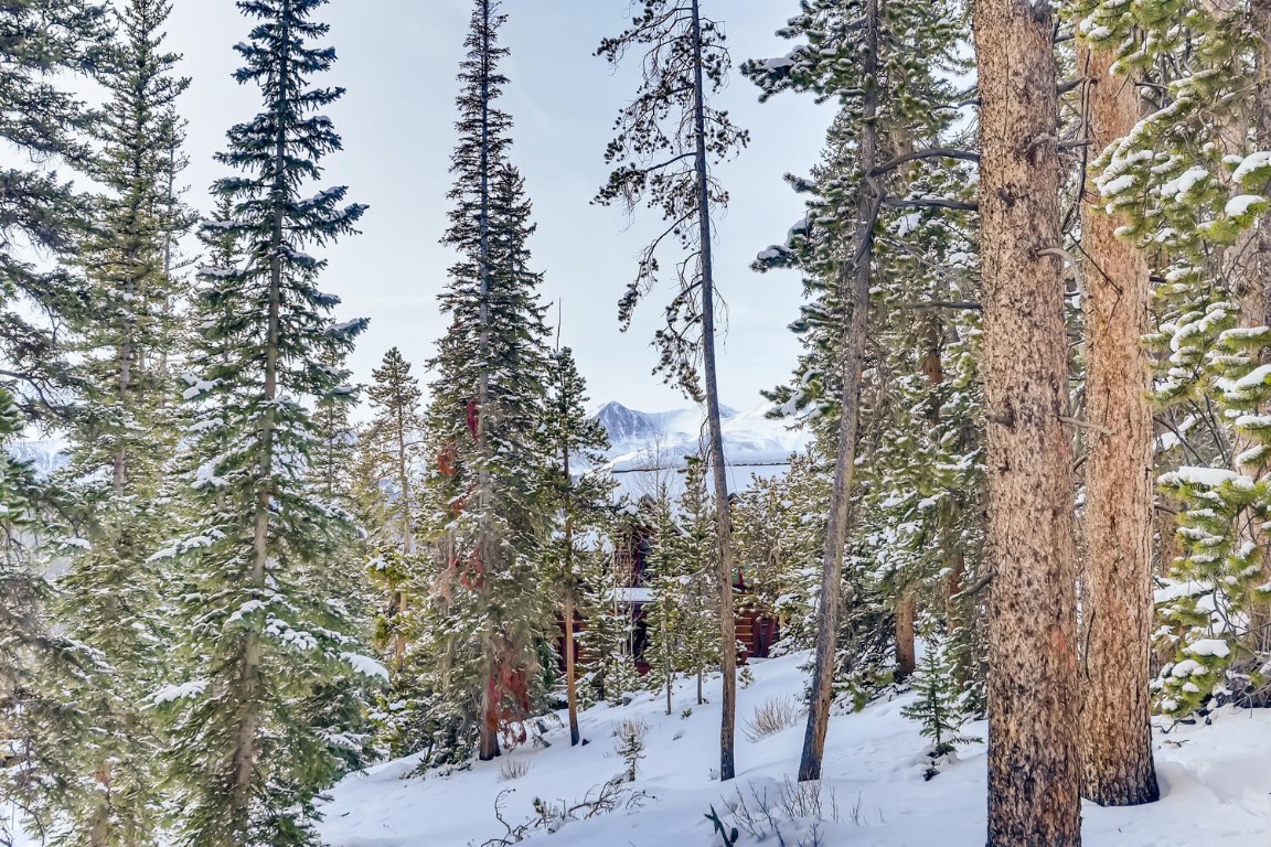 197 Goldenview DRIVE