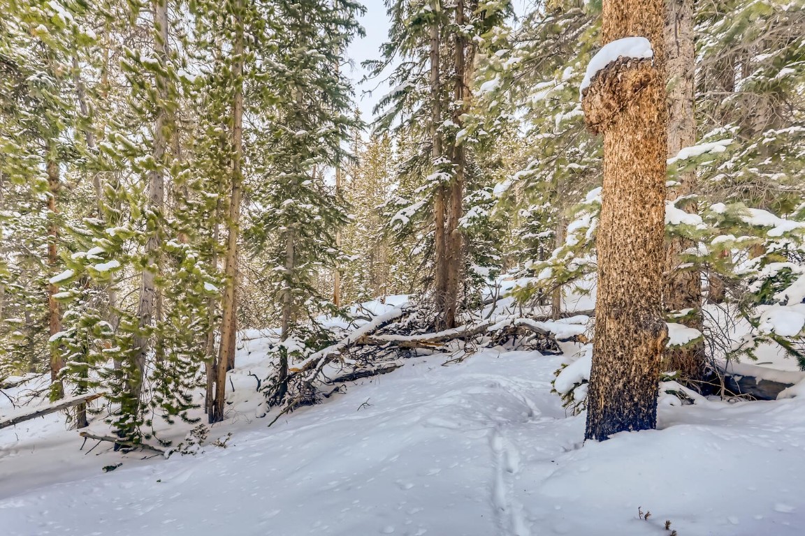 197 Goldenview DRIVE