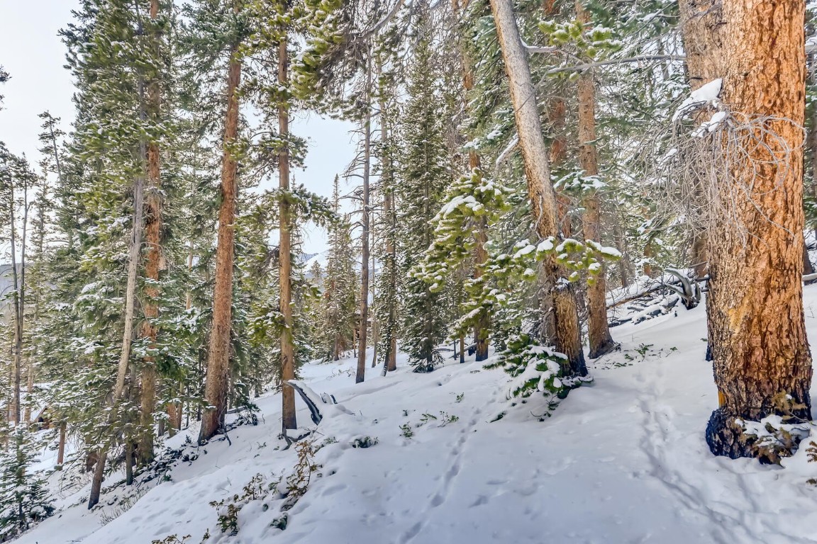 197 Goldenview DRIVE