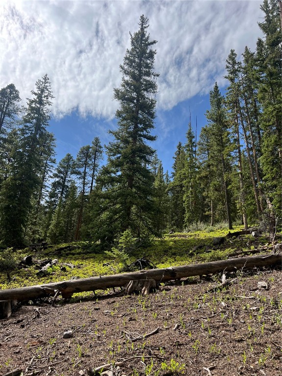 197 Goldenview DRIVE