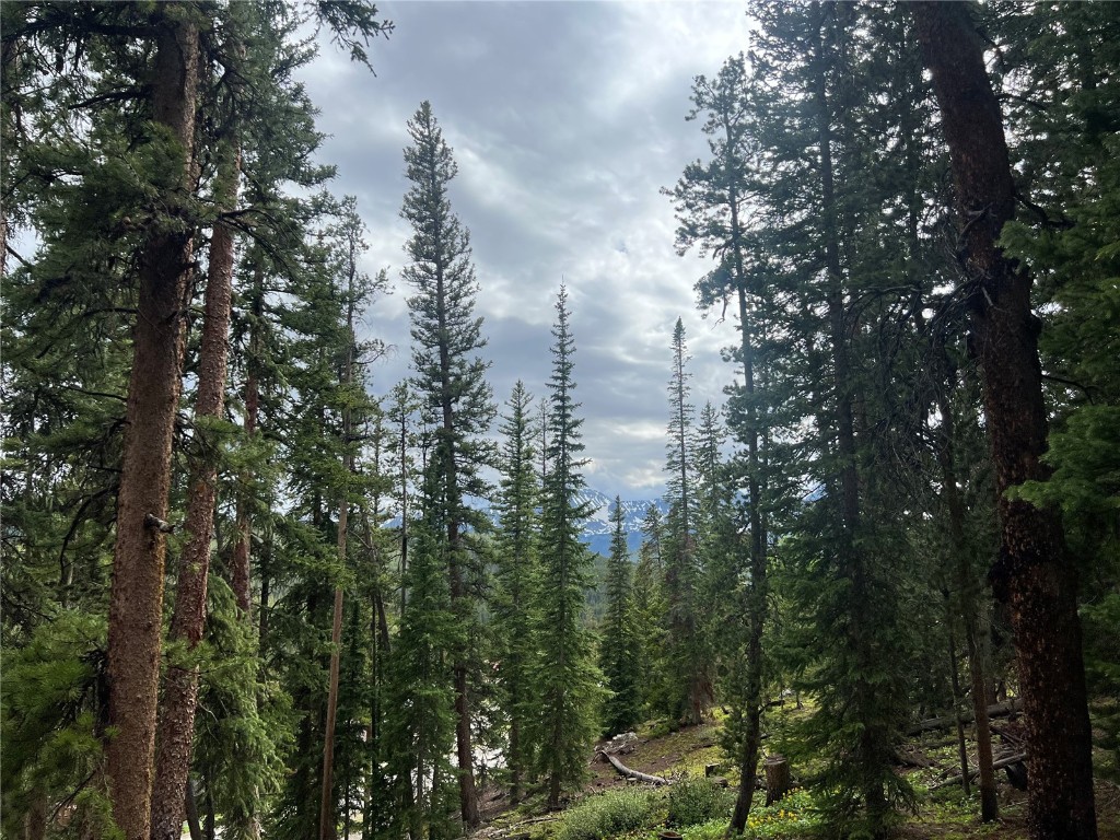 197 Goldenview DRIVE