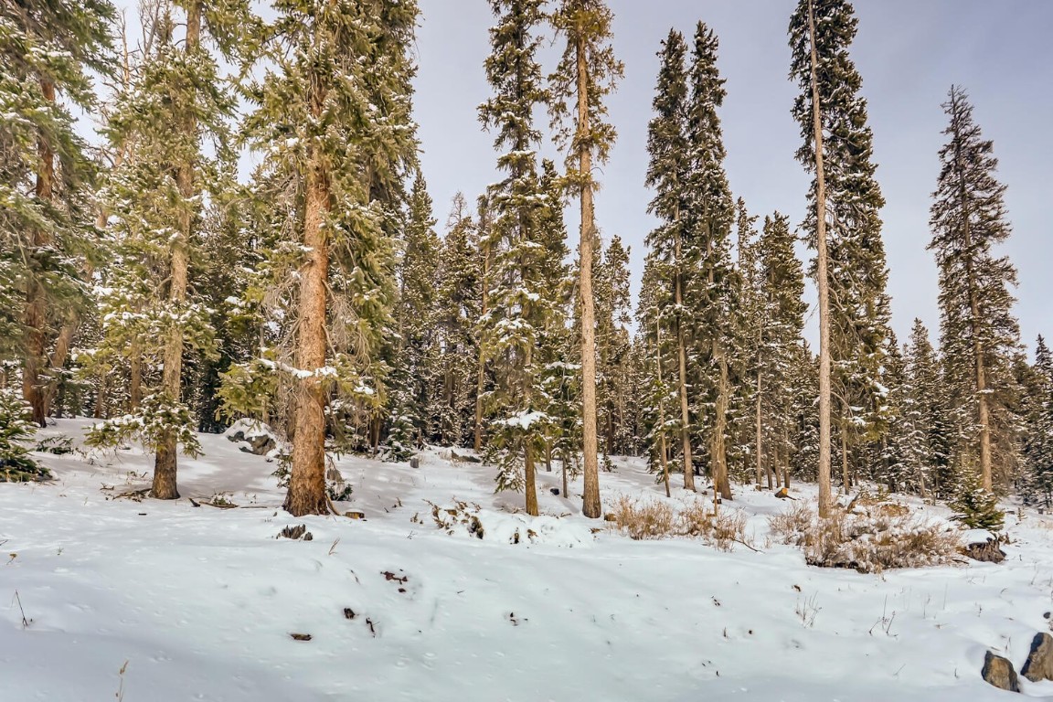 197 Goldenview DRIVE