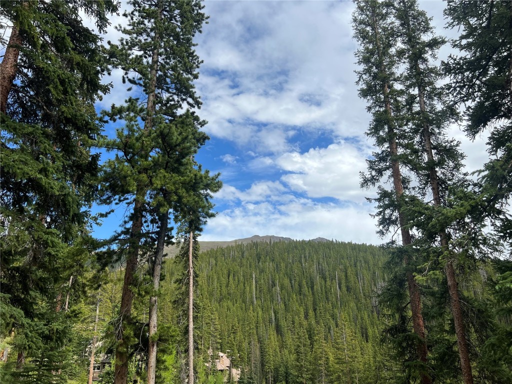 197 Goldenview DRIVE