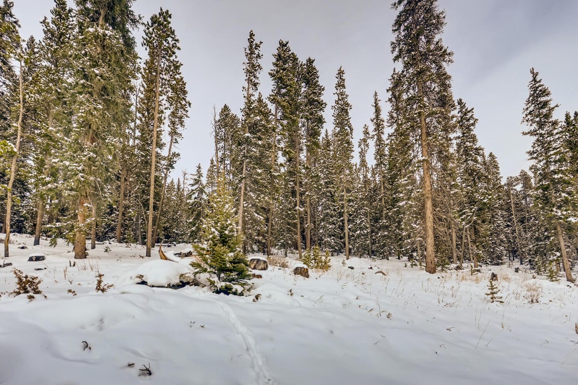 197 Goldenview DRIVE