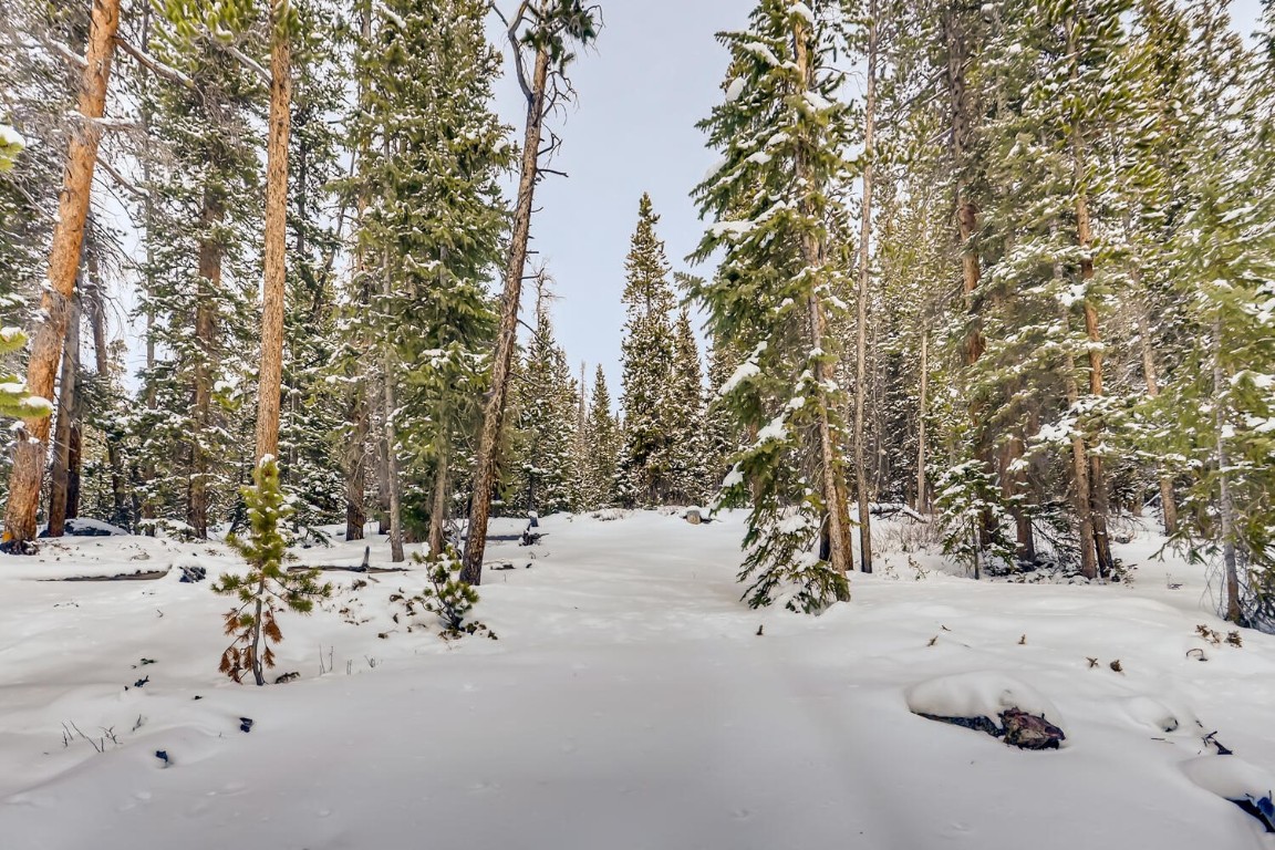 197 Goldenview DRIVE